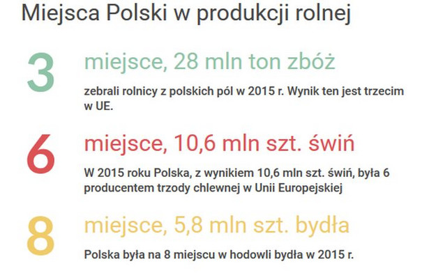 Polska rolniczym potentatem. Zobacz, jak wypadamy na tle Europy