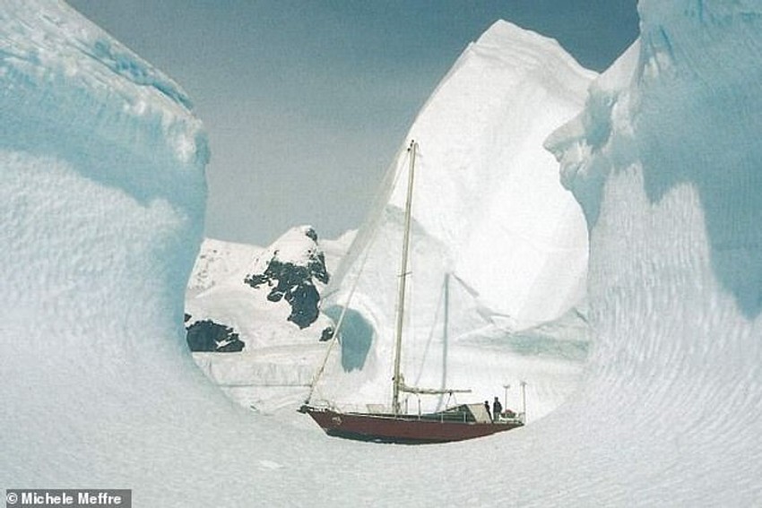 Porodica je bila u Aziji, Južnoj Americi i na Antarktiku