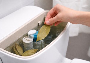 Ubacite list lovora u vodokotlić i gledajte magiju: Ruskinje otkrile trik zlata vredan