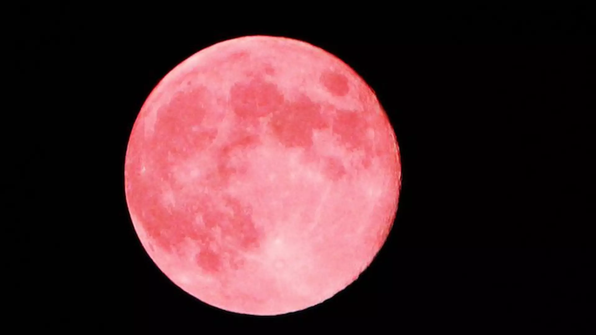 Zbliża się Truskawkowy Księżyc! O co chodzi w tym zjawisku i kiedy patrzeć w niebo?