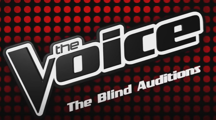A Voice tehetségkutató váltja az X-Faktort az RTL-en /Fotó: Youtube