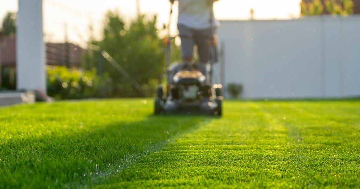 Kosisz trawnik w marcu? Prawie każdy popełnia ten błąd. Sprawdź dlaczego