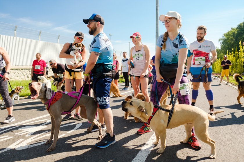 Psi Maraton po raz pierwszy zorganizowano w Parku Śląskim