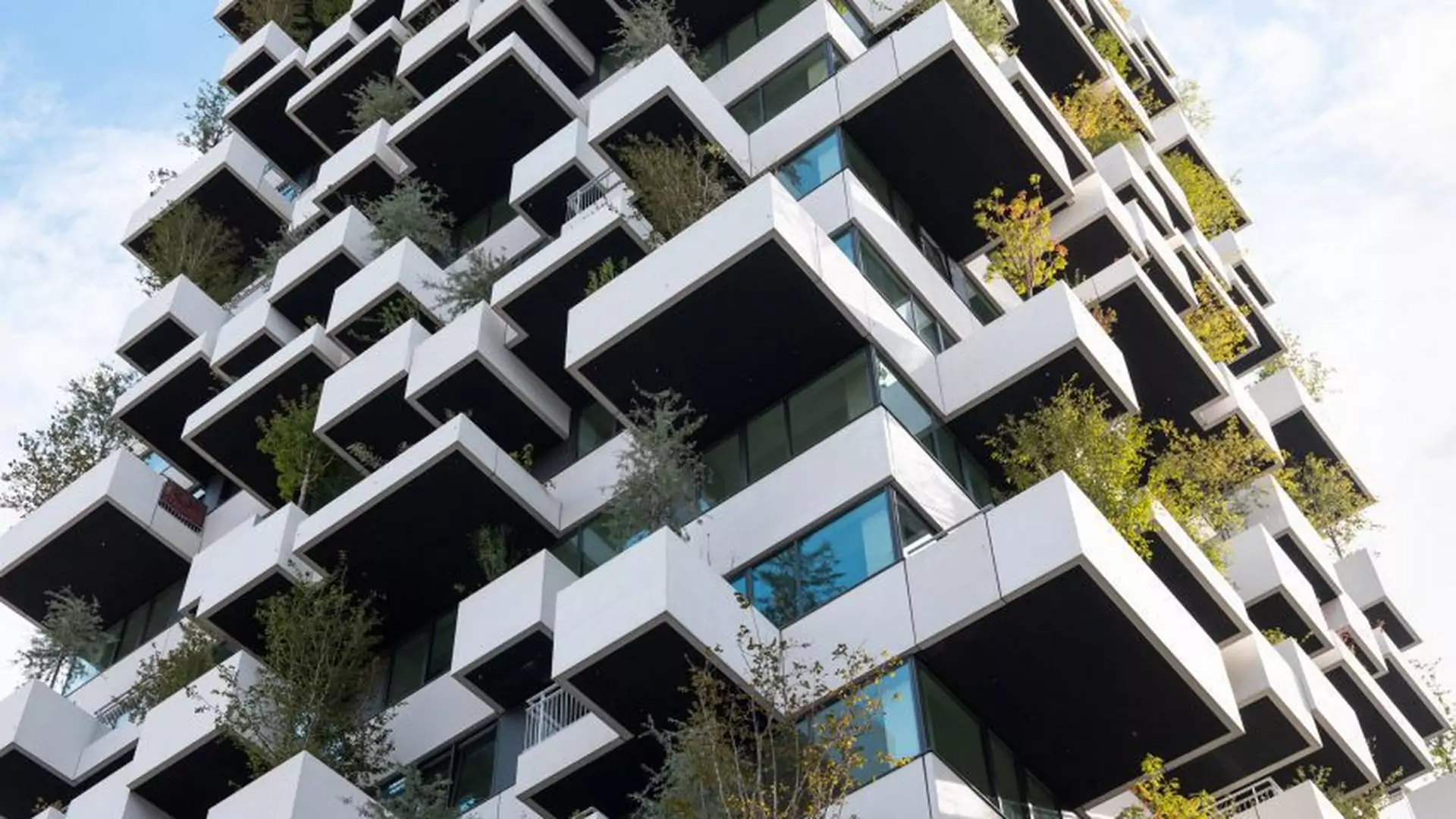 Tak wygląda blok z mieszkaniami socjalnymi w Holandii. Na fasadzie rośnie 10 tys. roślin