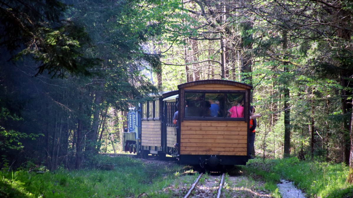 Jeśli na długi weekend wybieramy relaks w województwie podlaskim, to zdecydowana większość przyjezdnych kieruje się albo do Augustowa, albo do Puszczy Białowieskiej. Tradycja robi swoje, ale pomaga jej także dobra oferta turystyczna i najmocniejsze atrakcje tych miejsc: statki Żeglugi Augustowskiej i kolejka wąskotorowa przez Puszczę Białowieską z Hajnówki do Topiła. Gdy pogoda dopisuje to już teraz trudno o wolna miejsca.