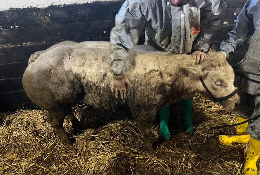 Nakon spasavanja je bila malo uznemirena