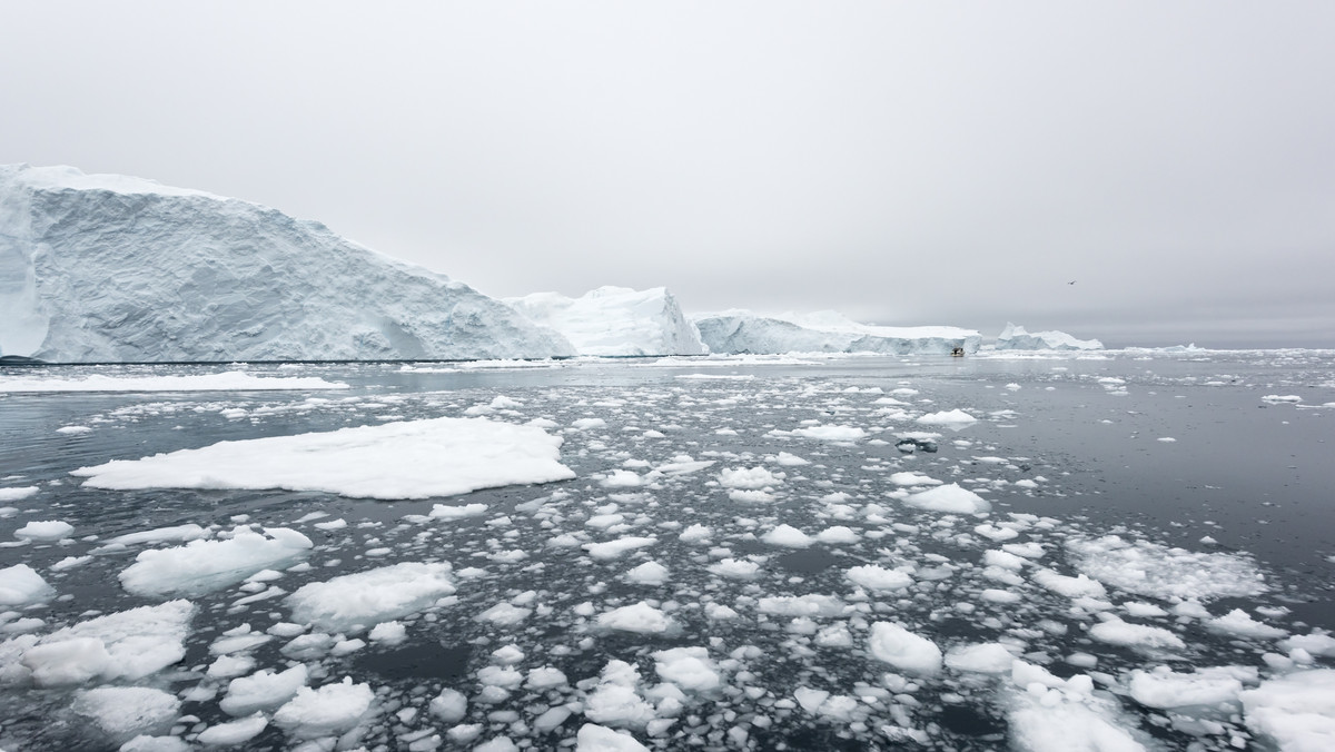 Nieznane są przyczyny śmierci dwóch techników pracujących w pobliżu największej amerykańskiej stacji badawczej McMurdo na Antarktydzie. Śledztwo w tej sprawie trwa, ale nie znaleziono dowodów wskazujących na dokonanie przestępstwa - informuje Reuters.