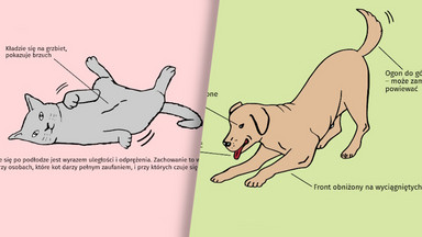 Rozumiesz język ciała swojego psa lub kota? Sprawdź! [INFOGRAFIKA]