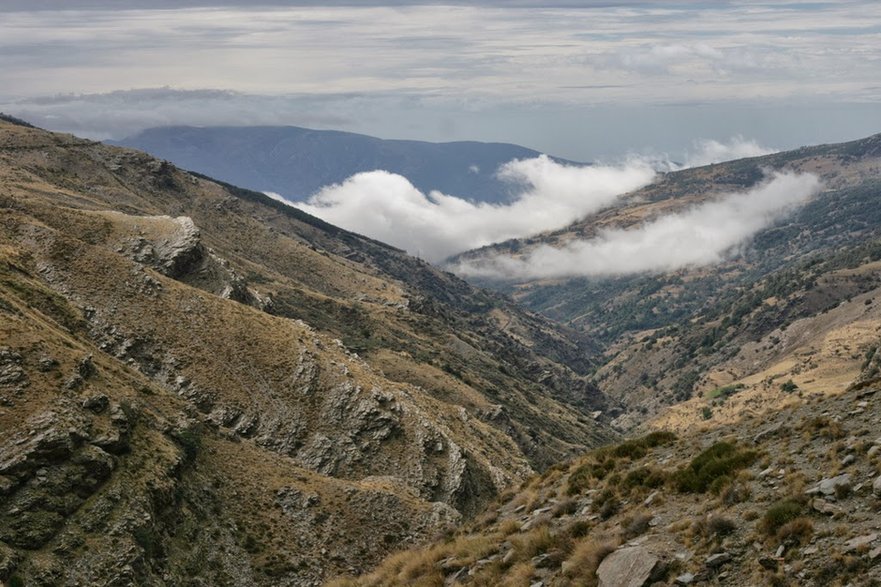 Sierra Nevada