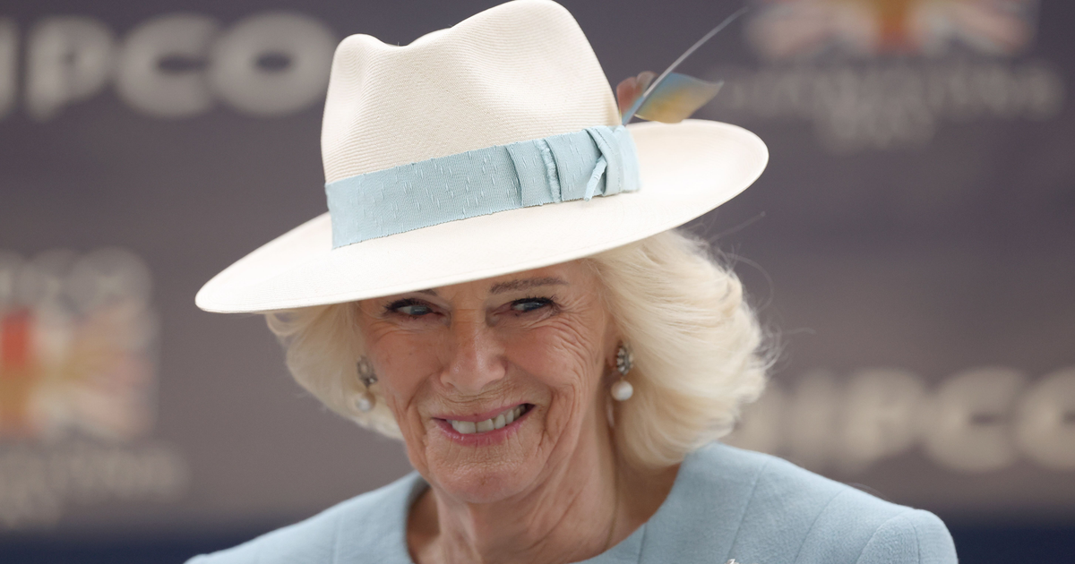 Camilla defies Andrew scandal at Ascot races
