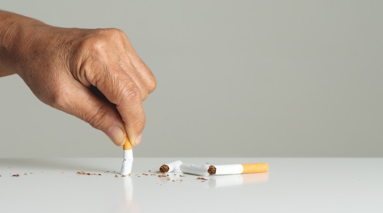 Végleges elfogadása után ez lesz a világ egyik legszigorúbb dohányzásellenes törvénye / Illusztráció: Northfoto