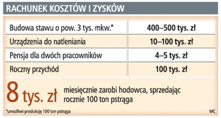 Hodowla ryb przyniesie zysk po kilku latach