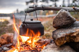 Czy można rozpalić grilla na działce lub wziąć drewno z lasu na ognisko? Sprawdź, co mówią przepisy