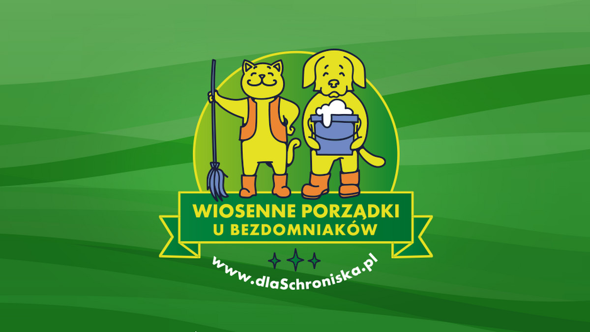 Coraz dłuższe dni i cieplejsze promienie słońca wielu z nas zachęcają do zapomnienia już o zimie, a myślenia o wiosennych porządkach. Przygotować przestrzeń na nowy sezon chcą też schroniska i fundacje opiekujące się bezdomnymi psami i kotami z całej Polski, w tym z Warszawy, Poznania, Wrocławia czy Rzeszowa.