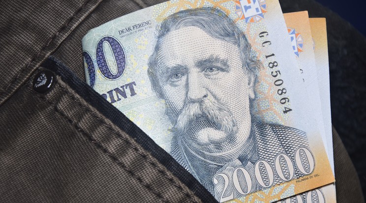 2021 végére 1300 forint alatti átlagos fizikai órabér már az ország egyetlen pontjára sem volt jellemző /Fotó: Pixabay