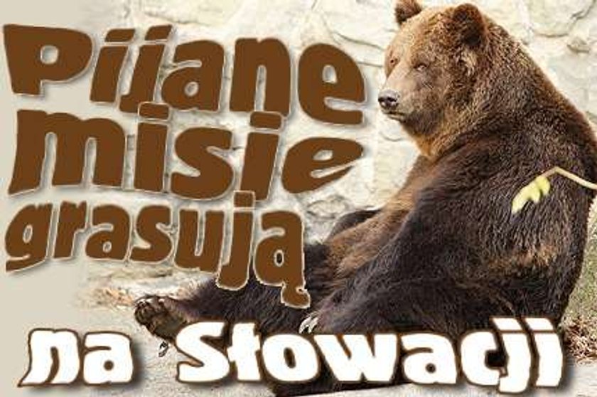 Pijane misie grasują na Słowacji