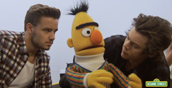 One Direction dobrze się bawili na... ulicy Sezamkowej – zobacz!