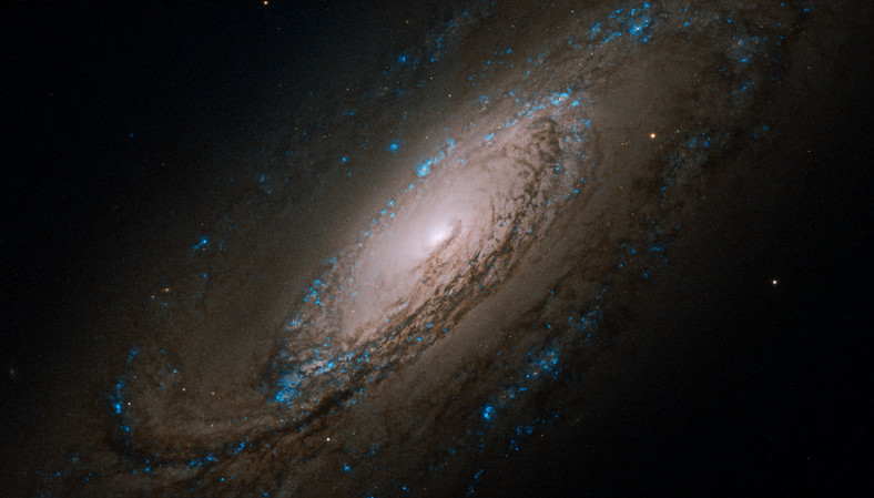 C29 - NGC 5005 