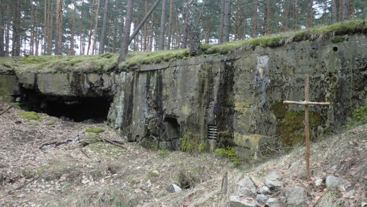 Poszukiwacze ze stowarzyszenia Pomost odkryli na początku miesiąca szczątki żołnierzy niemieckich w bunkrze w okolicy Sycowic i Przetocznicy w pow. zielonogórskim. To kolejne znalezisko historyków, którzy w Lubuskiem przeprowadzili już kilkanaście ekshumacji.
