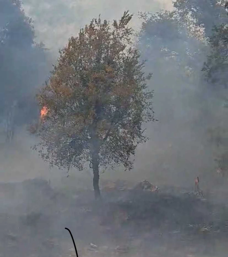 Požar u naselju Podostrog iznad Budve