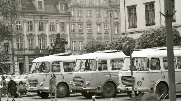 Ogórki w Rynku Widok dziś szokujący