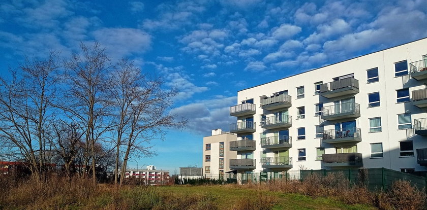 Będziemy mieć kolejny park kieszonkowy