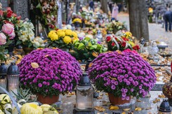 Wszystkich Świętych 2023: Czym zastąpić chryzantemy? Florystka radzi, jak udekorować grób