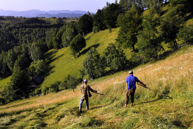Krajobrazy w wiosce Magura w rumuńskiej Transylwanii