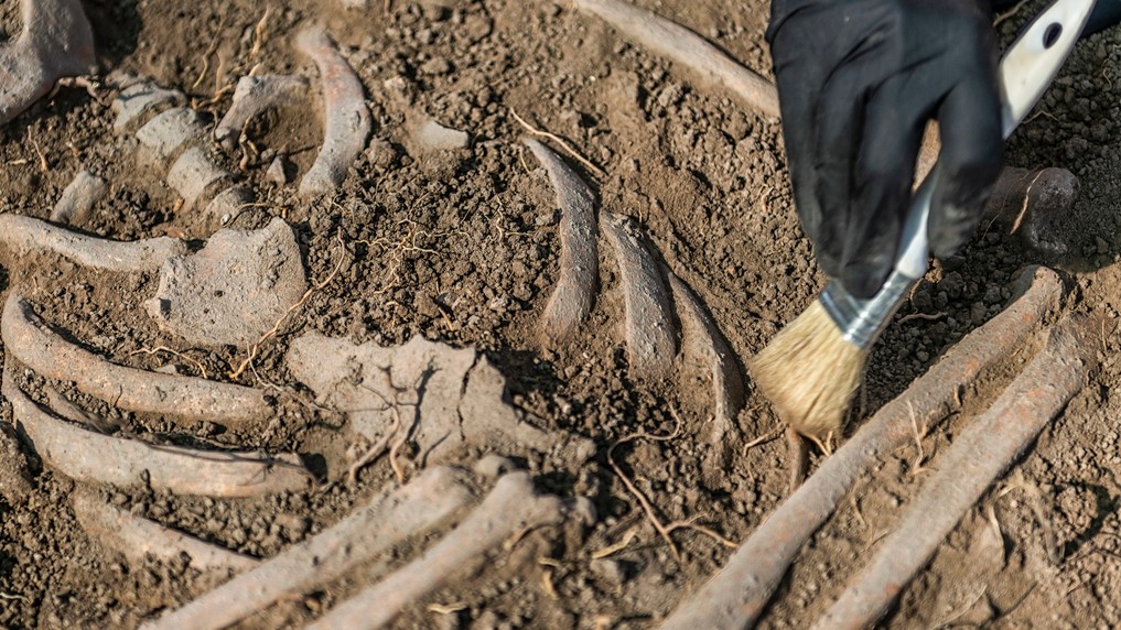 Ostatky nájdené vlani v Colorade môžu patriť mužovi pôvodom zo Slovenska. (ilustračné foto)