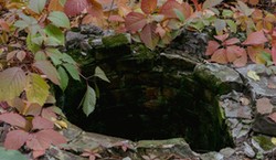 Zgłosisz się dobrowolnie? Może Cię ominąć kara 60 000 zł