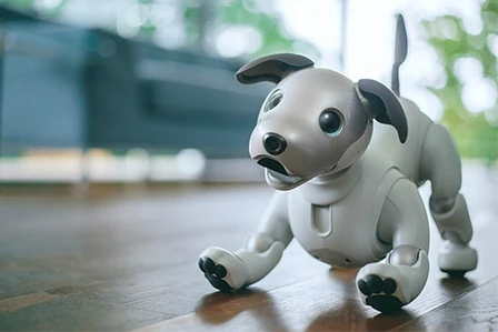 Robot Aibo