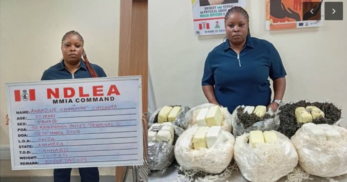NDLEA seizes Qatar-bound drugs concealed in African salad, rejects ₦5m bribe - Vimarsana News