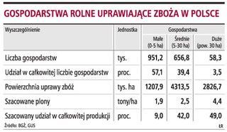 O cenach chleba zdecydują nie ceny zbóż, lecz potrzeby piekarzy