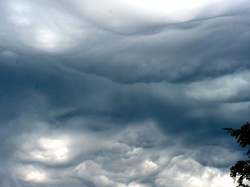 Nocne burze w Lubuskiem. Straż wzywana ponad 200 razy