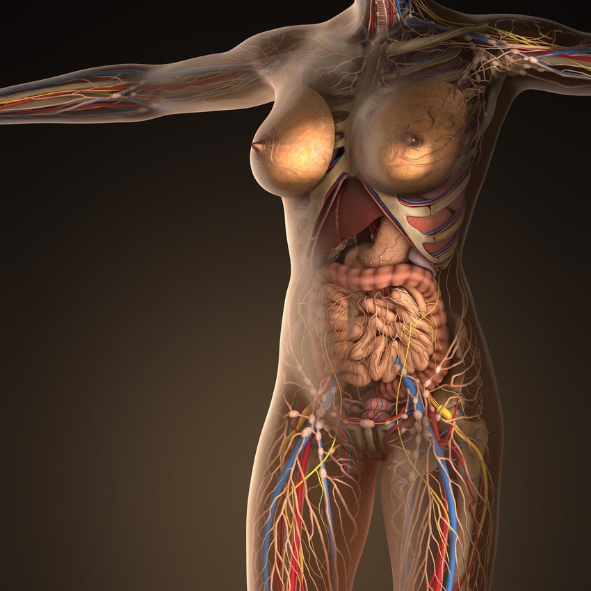 Ljudskih ćelija ima 43%, ostalo je mikrobiom