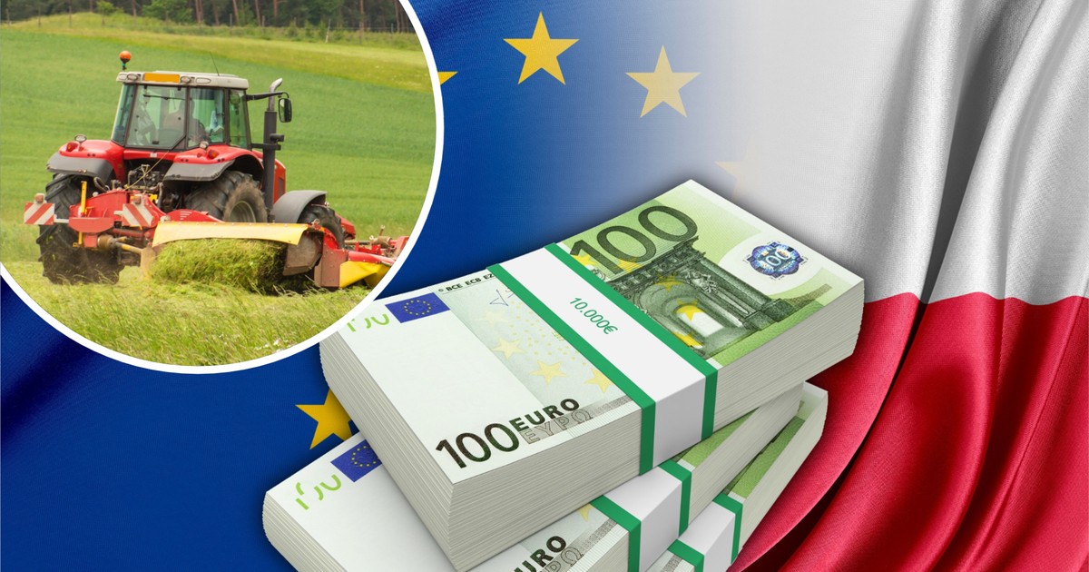 Ostatnia prosta i nagły zwrot. UE wzmacnia zabezpieczenia przed Mercosurem