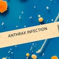 Anthrax (lépfene)