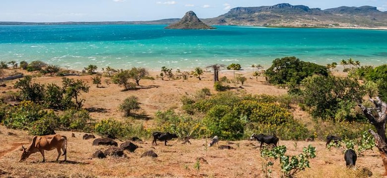 Część afrykańskich wysp zamknięta dla turystów z powodu koronawirusa
