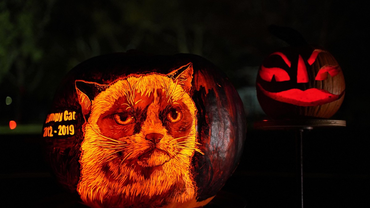 Rise of the Jack O'Lanterns in New York