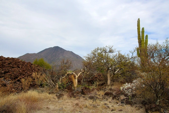 Zona tišine u Meksiku