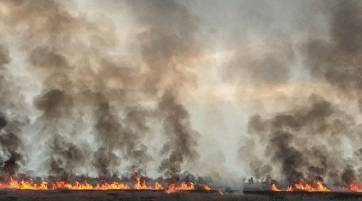 Felcsaptak a lángok a Fertő-tónál /Fotó: fireworld.at videorészlet