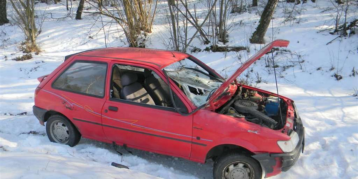 Kierowca staranował konny zaprzęg! ZDJĘCIA