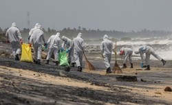 Katastrofa ekologiczna na Sri Lance. Morze na brzeg wyrzuca martwe zwierzęta