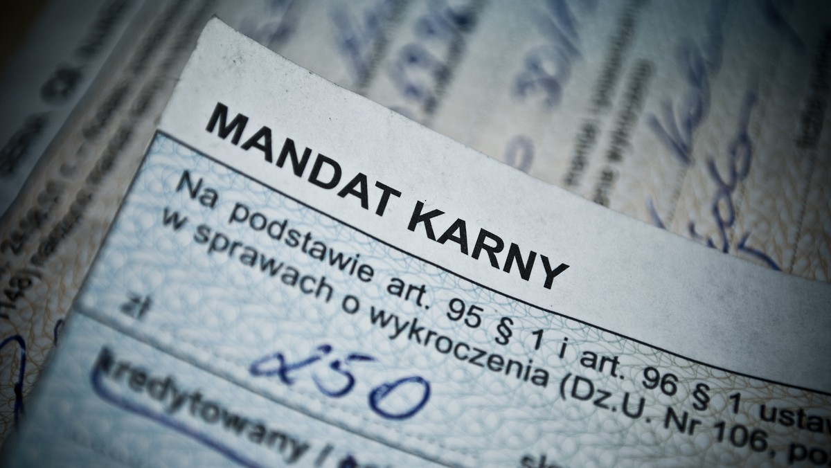 Policjanci z Komendy Wojewódzkiej Policji przeprowadzili kontrole nad działalnością Straży Miejskiej w Krapkowicach. Łącznie wykryto ponad 500 nieprawidłowości. O sprawie informuje Radio Opole.