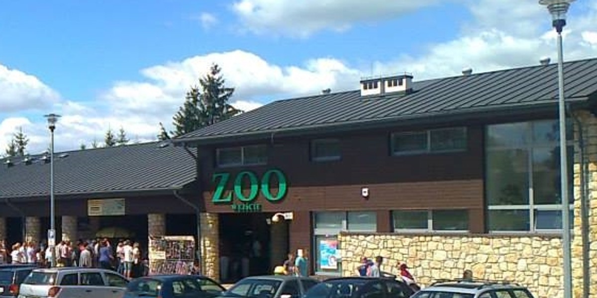 Horror w zamojskim Zoo! Kobieta chciała sobie obciąć głowę