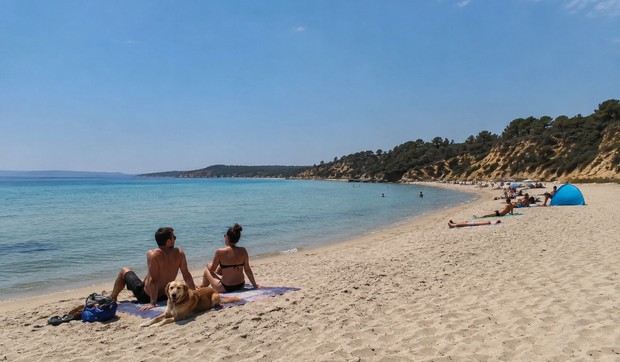 Pas na plaži - ilustracija