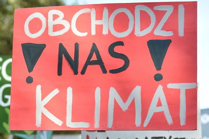 Walka z kryzysem klimatycznym. "Żadna firma czy państwo samo sobie z tym wyzwaniem nie poradzi"