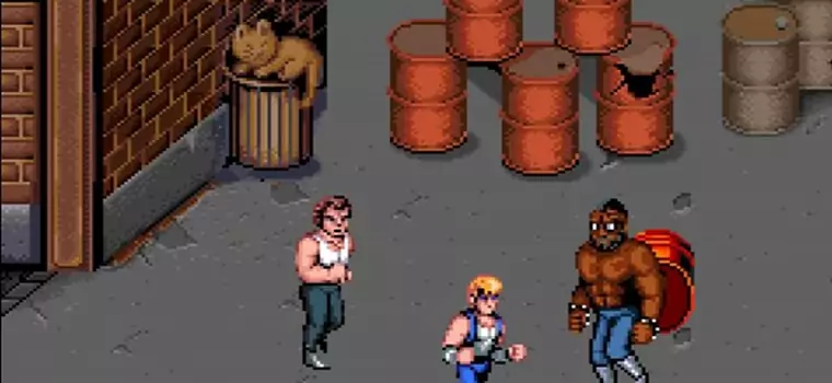 Seria Double Dragon ma nowy dom