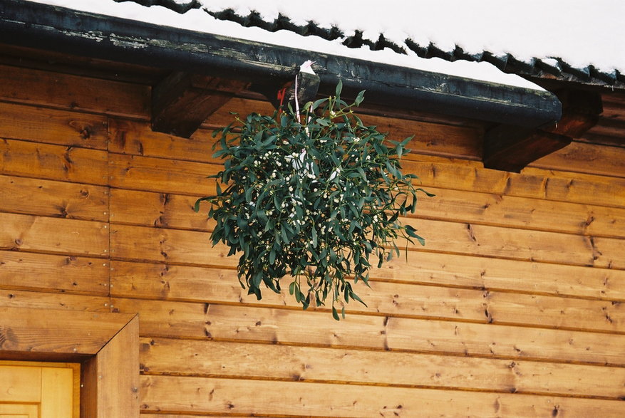 Zakopane, Wigilia 2005 