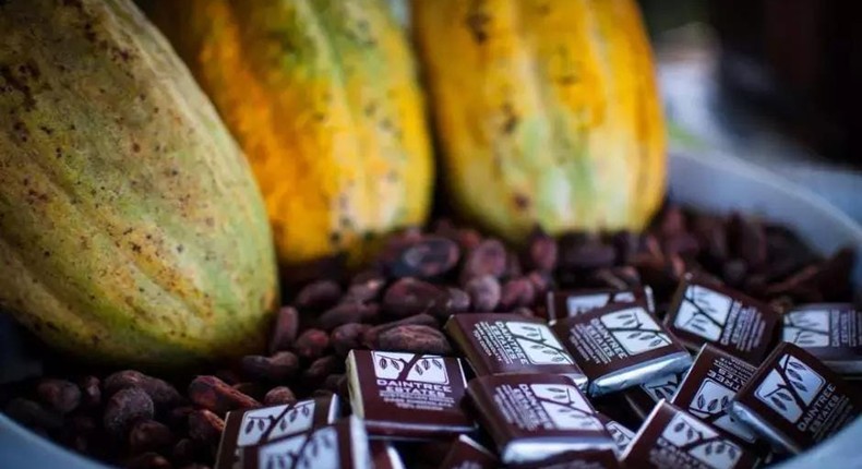 Cocoa was once the major export and economic driver in Nigeria. The advent of crude oil resulted in neglect of the product.